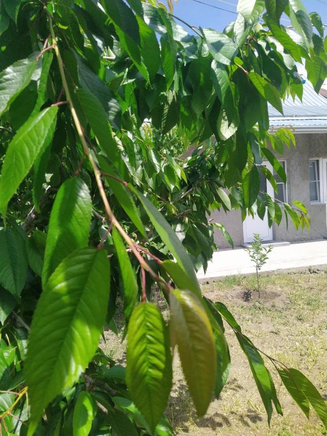 Vanand Guest House Gjumri Exterior foto